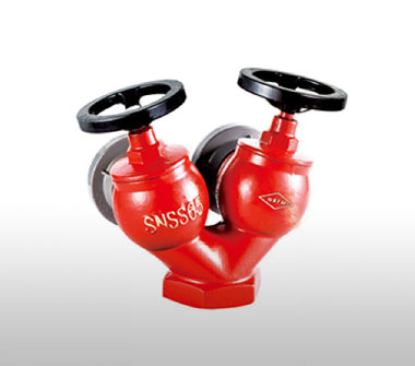 SNSS65雙閥雙出口室內(nèi)消火栓