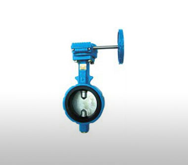 不銹鋼板蝸輪蝶閥